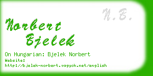 norbert bjelek business card